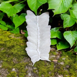 Large 5&quot; wide White  Artificial Butterflies Dozen - Fake Butterfly - Wedding