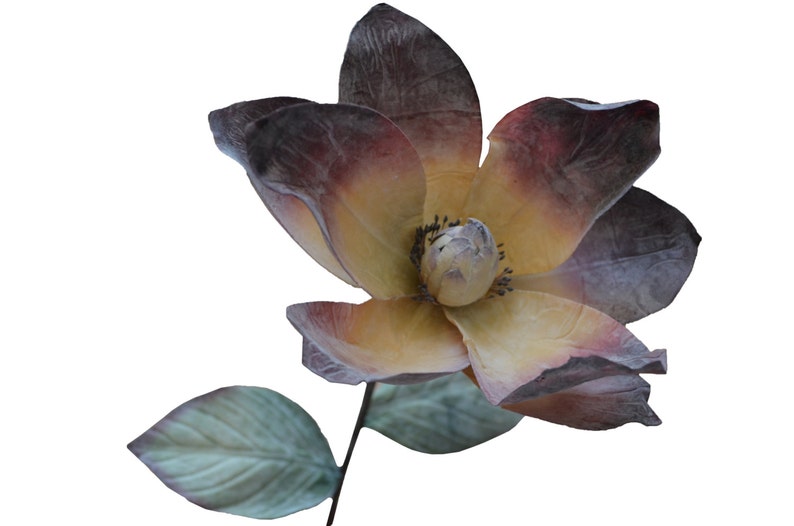 Cream Is Out Of Stock Burgundy Mauve Pick The Color Blue 6 Magnolia Stems Artificial Latex Flowers Home Decor Home Living Plants Kromasol Com