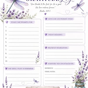 Dankbarkeitstagebuch mit Libellenmotiv zum Ausdrucken | Einlage für den christlichen Glaubensplan (Sofort-Download als PNG)