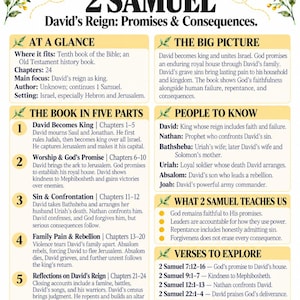 May include: A white educational infographic titled 2 Samuel: David's Reign: Promises & Consequences. It features bee and honeycomb illustrations, sections on the book's structure, key figures, and lessons, all organized in a clear, readable layout.