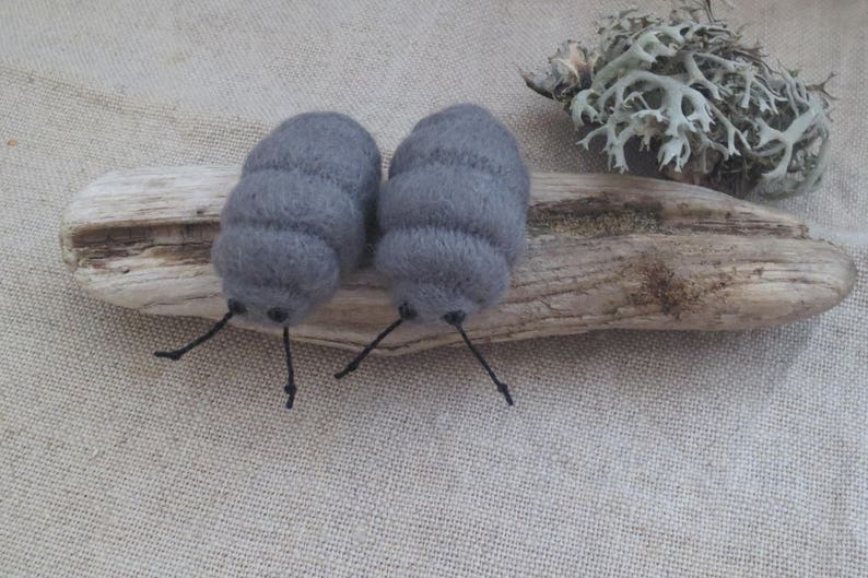 Pu&ograve; includere: Due pillole di feltro grigie su un pezzo di legno alla deriva. Le pillole hanno gambe e antenne nere.