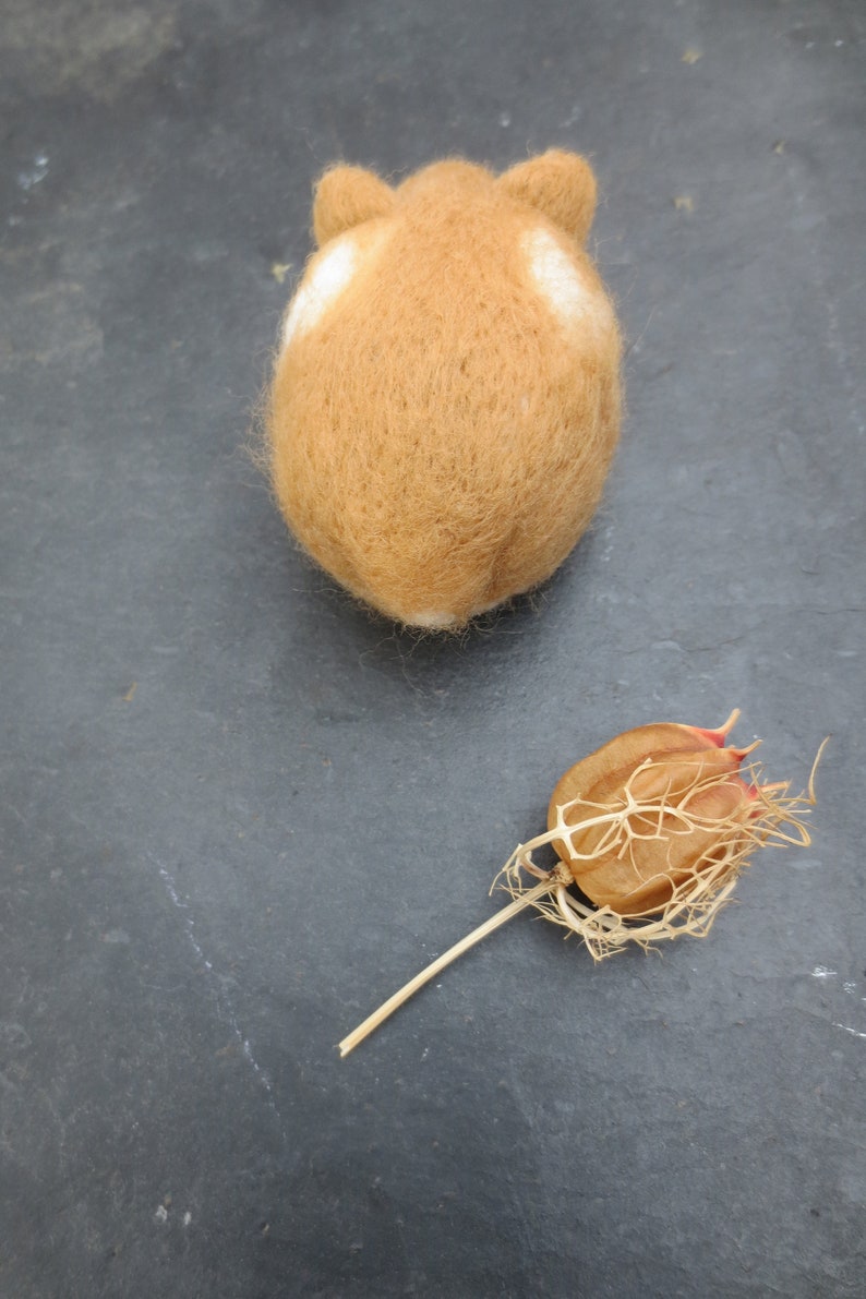 Puede incluir: Una figurita de animal de fieltro marr&oacute;n y blanco, posiblemente un h&aacute;mster, tumbada de espaldas sobre una superficie gris oscuro. Una c&aacute;psula de semilla marr&oacute;n seca con un tallo largo est&aacute; tumbada sobre la superficie debajo de la figurita.