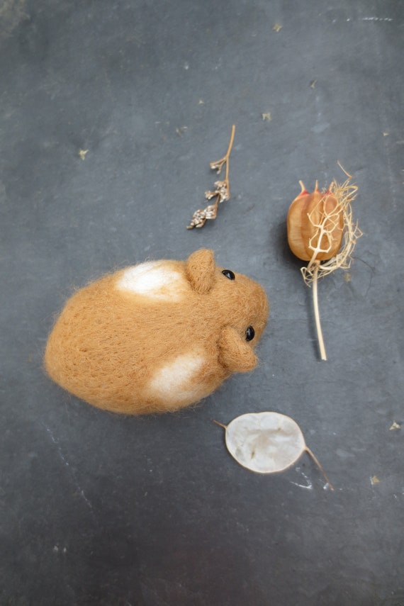 Ginger and sales white hamsters