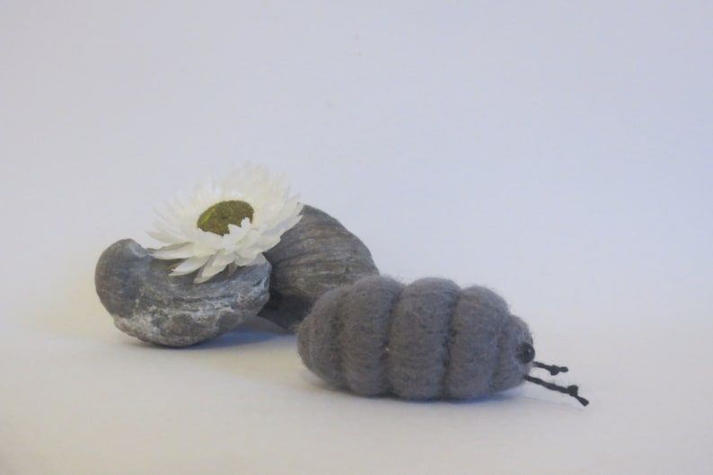 Pu&ograve; includere: Un millepiedi di feltro grigio con gambe nere, accanto a una roccia grigia con un fiore bianco in cima.