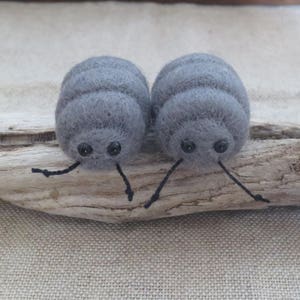 Pu&ograve; includere: Due insetti di feltro grigi con occhi e gambe nere. Gli insetti sono seduti su un pezzo di legno alla deriva.
