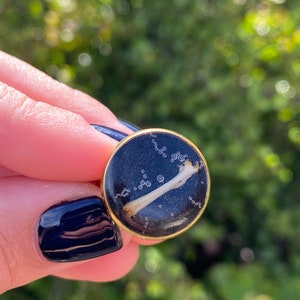 May include: A small, round, black resin pendant with a gold rim. The pendant contains a small, white bone and air bubbles.