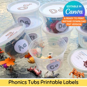 May include: Clear plastic tubs with white lids and labels, filled with small toys and objects. The labels feature letters of the alphabet, such as "Aa", "Dd", and "Co". The image includes the text "Phonics Tubs Printable Labels".