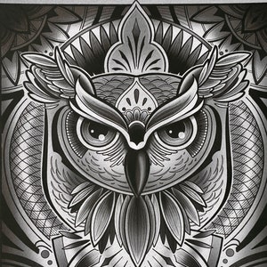 Geometric Owl Fine Art Print by Jess Rocha