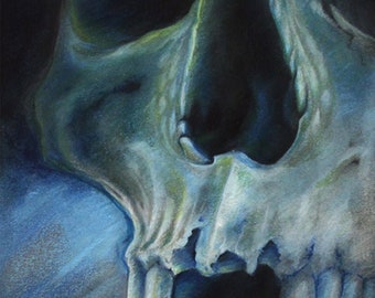 Blue Skull Study (Fine art print) by Jess Rocha