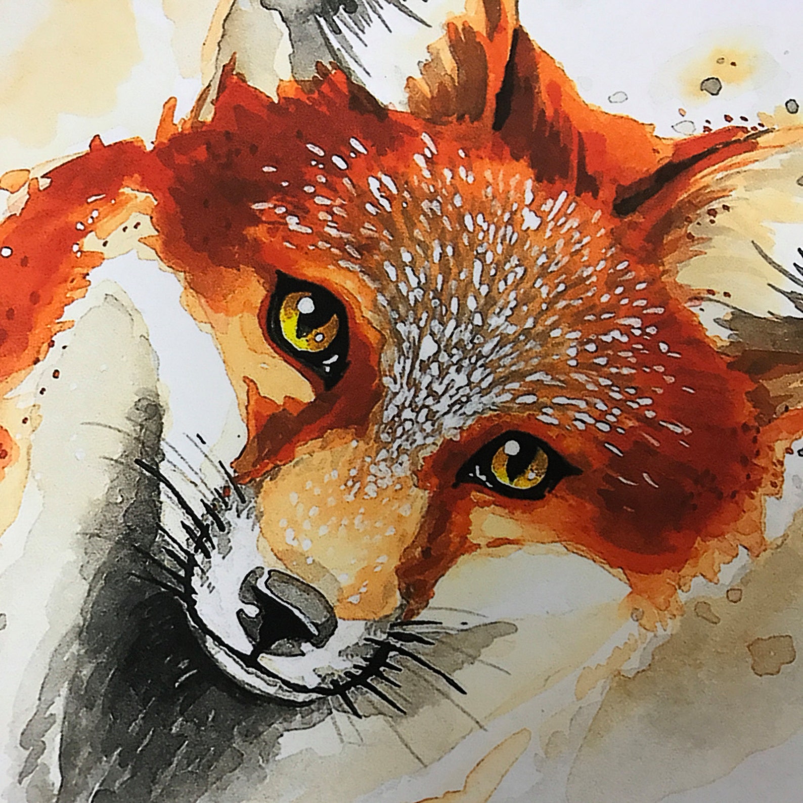 Red Fox Fine Art Print by Jess Rocha 8.5 X 11 Inches - Etsy