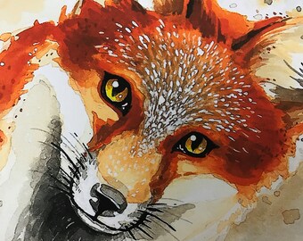 Red Fox - Fine Art Print by Jess Rocha 8.5 x 11 inches