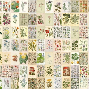 Vintage Wall Collage Kit, Aesthetic Botanical Collage, Plant Wall Art, Vintage Posters, Vintage Room Decor (DIGITAL DOWNLOAD) 100 PCS