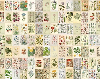 Vintage Wall Collage Kit, Aesthetic Botanical Collage, Plant Wall Art, Vintage Posters, Vintage Room Decor (DIGITAL DOWNLOAD) 100 PCS
