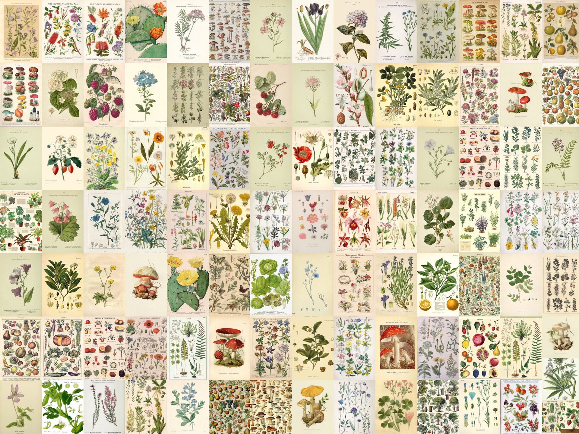 ウィメンズ ´Botanical Collage´ / 235255 393N-