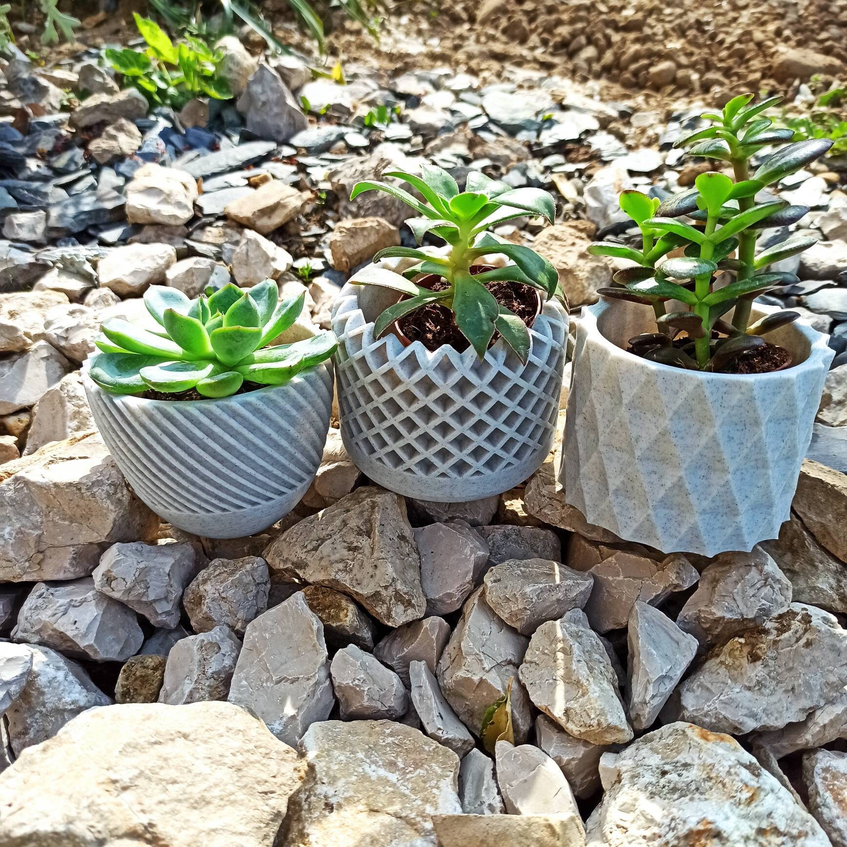 Pot, Cache Pot Le Lot de 3