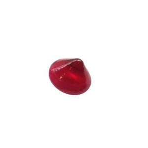 May include: A single, glossy, deep red pomegranate seed against a white background. The seed has a rounded shape with a slightly pointed top, and its surface reflects light, giving it a polished appearance. The seed is isolated, emphasizing its color and form.