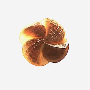 May include: A circular, golden-toned button featuring a four-petaled floral design. Two petals display a textured, cross-hatched grid pattern, while the alternating two petals have a smooth, polished, and reflective surface finish.
