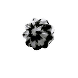 May include: A black and white decorative knob with a floral design. The knob has a rounded shape with a series of petal-like protrusions. The color pattern is a mix of black and white.