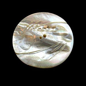 May include: A round, iridescent button with a floral design carved into its surface. The button has two holes for sewing and is set against a black background. The button's color shifts with the light.