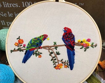 Beginner Embroidery Kit - Modern Bird Pattern - Handmade Embroidery Full Kit - DIY Bird  Embroidery Hoop Wall Art Kit