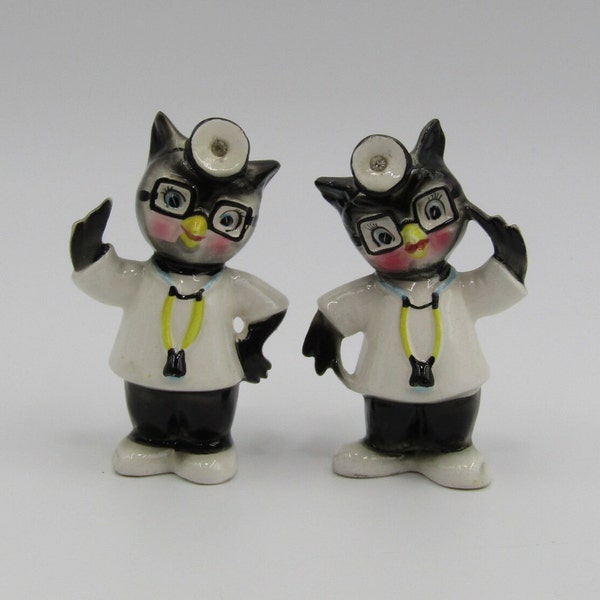 Vintage Owl Doctor Salt and Pepper Shaker Set Enesco Japan Anthropomorphic With Cork Stopper Black Stethoscope Head Mirror Ceramic Office