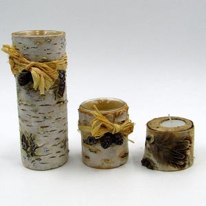 May include: Three birch bark candle holders with a rustic design. The largest holder is tall and cylindrical, while the other two are shorter and round. Each holder has a natural straw bow and pine cone accents.