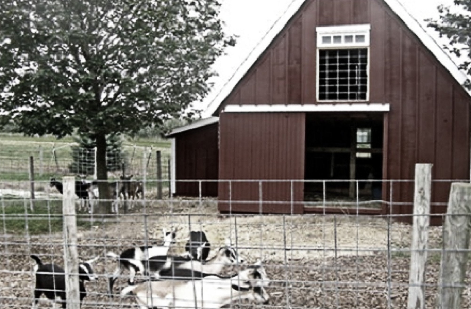 13 Small Animal Barn Plans Complete Polebarn Building Plans Etsy