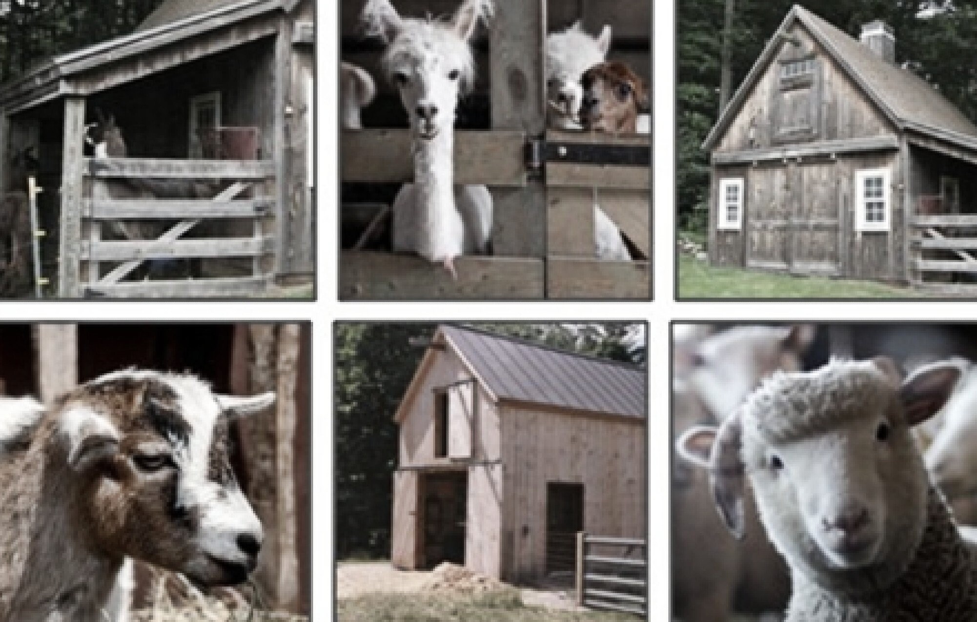 13 Small Animal Barn Plans Complete Polebarn Building Plans Etsy