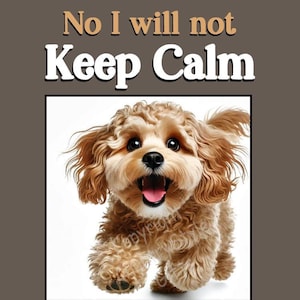 Puede incluir: Un perro marrón y blanco con una expresión feliz corre hacia la cámara. El texto "No I will not Keep Calm and you can Sod Off!" está escrito sobre un fondo marrón.