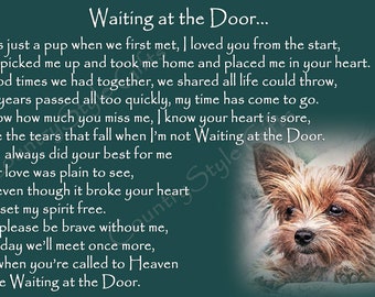 royal canin siamese 4kg