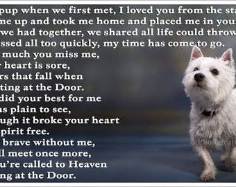 westie memorial stones