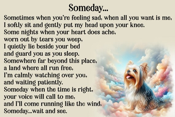 Heartfelt Condolences Card For Loss Of A Pet - A Sweet, Furry Friend - Sympathy