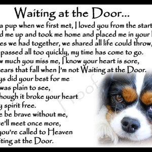 Cavalier King Charles Spaniel Dog Bereavement Memorial Fridge Magnet Gift