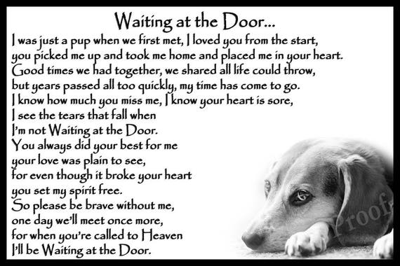 i think my cat is sad