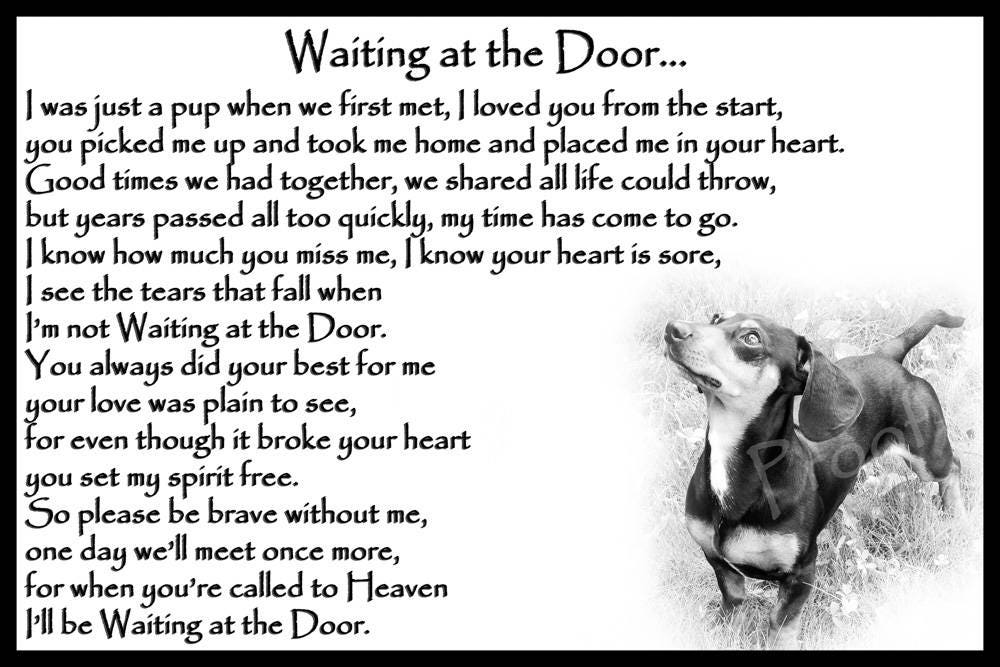 Smooth haired Dachshund Memorial sympathy magnetic card ...