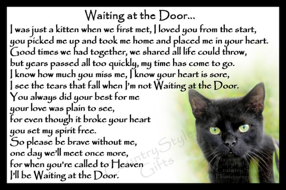 Pet Cat Memorial Rainbow Bridge Bereavement Sympathy Gift Etsy