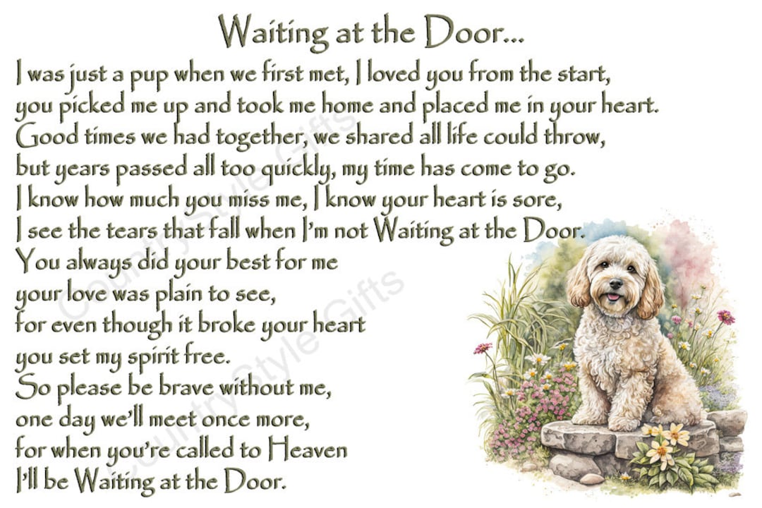 Buy Cockapoo or Sproodle Pet Dog Memorial Rainbow Bridge Magnetic