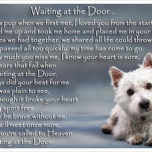 West Highland White Terrier Westie Memorial koelkastmagneet huisdier verlies sterfgeval cadeau