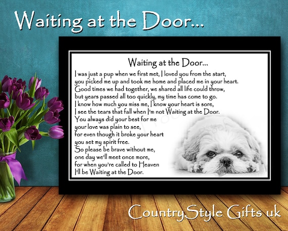 rainbow bridge gifts dogs