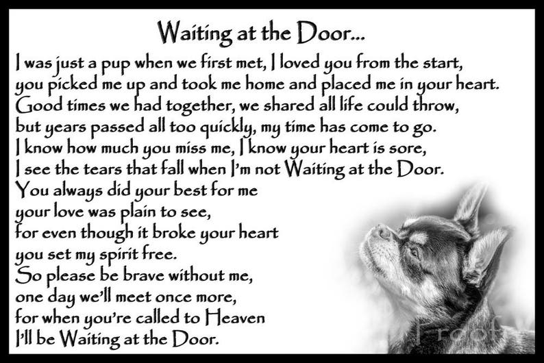 Chihuahua dog Memorial Fridge Magnet pet loss bereavement gift Waiting at the Door