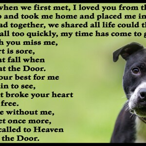 Staffy Staffordshire Bull Terrier, chien commémoratif, aimant pour réfrigérateur, plaque, cadeau de sympathie pour la perte d'un animal de compagnie