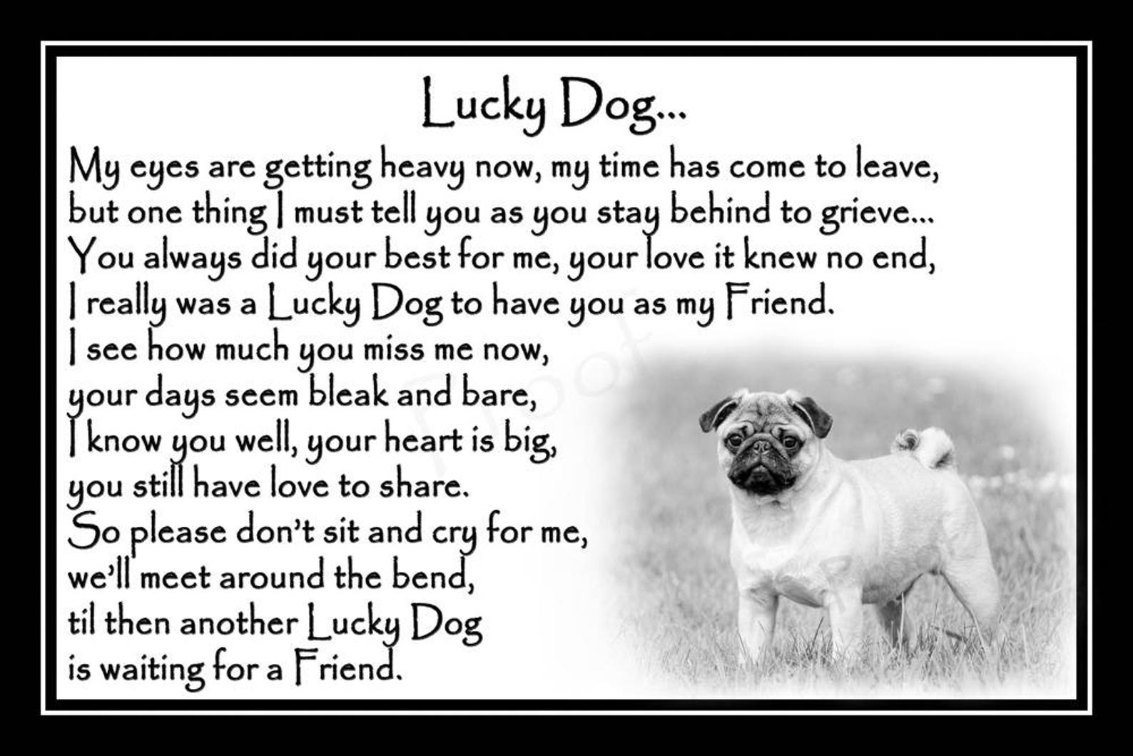 Pug Pet Dog Photo Memorial Gift Mounted Poem 9 x 6 Etsy