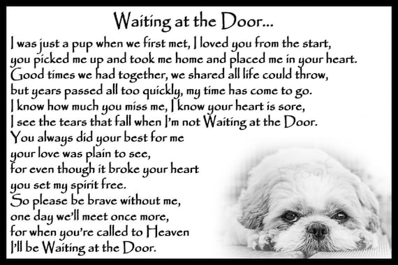 Shih Tzu Dog Pet Loss Memorial Bereavement Fridge Magnet Gift