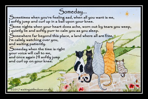 Beautiful pet cat memorial print Rainbow Bridge Gift | Etsy