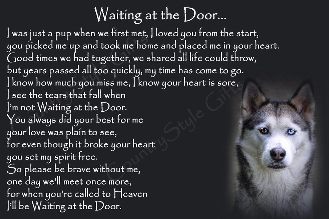 Husky dog door sale