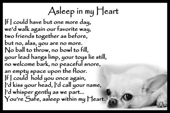 how to train a dog not to bark at strangers