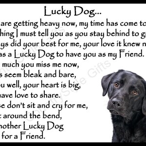 May include: Black and white image of a black Labrador Retriever dog with a poem about a dog's passing. The poem reads, "Lucky Dog... My eyes are getting heavy now, my time has come to leave, but one thing I must tell you as you stay behind to grieve... You always did your best for me, your love it knew no end, I really was a Lucky Dog to have you as my Friend. I see how much you miss me now, your days seem bleak and bare, I know you well, your heart is big, you still have love to share. So please don't sit and cry for me, we'll meet around the bend, til then another Lucky Dog is waiting for a Friend."
