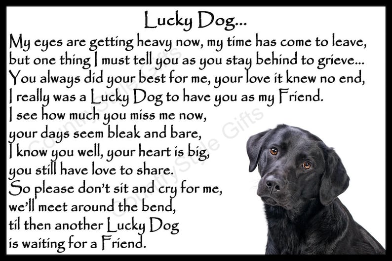 May include: Black and white image of a black Labrador Retriever dog with a poem about a dog's passing. The poem reads, "Lucky Dog... My eyes are getting heavy now, my time has come to leave, but one thing I must tell you as you stay behind to grieve... You always did your best for me, your love it knew no end, I really was a Lucky Dog to have you as my Friend. I see how much you miss me now, your days seem bleak and bare, I know you well, your heart is big, you still have love to share. So please don't sit and cry for me, we'll meet around the bend, til then another Lucky Dog is waiting for a Friend."