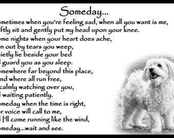 Bichon Frise Memorial Fridge Magnet pet loss bereavement gift