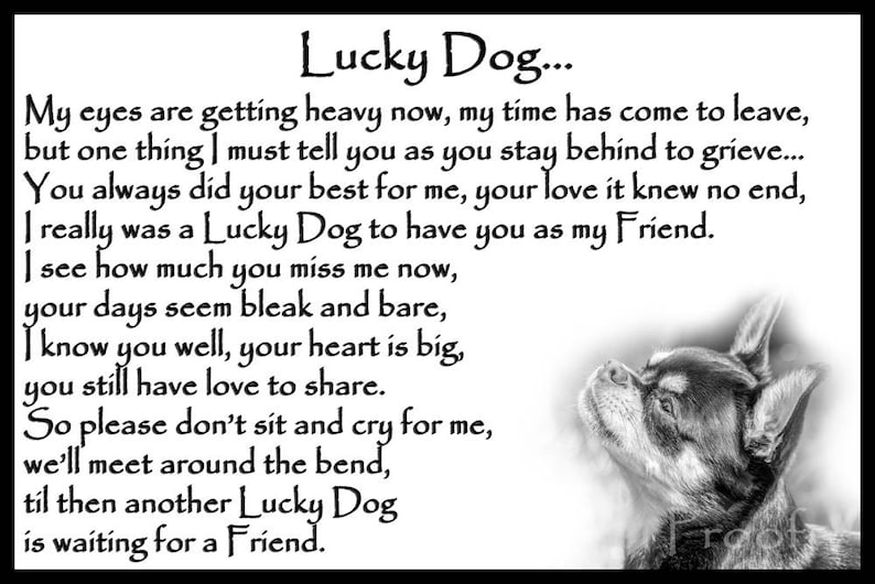 May include: Black and white illustration of a dog with the text "Lucky Dog..." and a poem about a dog's love and friendship.